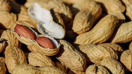 Необычный орех: в чем заключается польза и вред арахиса