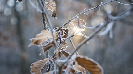 Морозы придут рано, но не ко всем: чего украинцам ждать от погоды в ноябре