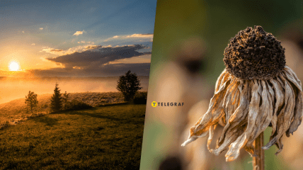 Жара в Украине