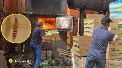 Заражені вантажі знищили у вогні