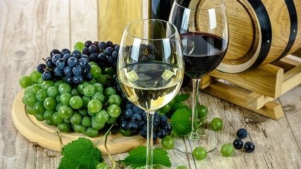Красное вино полезно для здоровья: веские причины пить вино