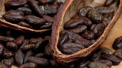 Какао-бобы эффективны в борьбе с морщинами
