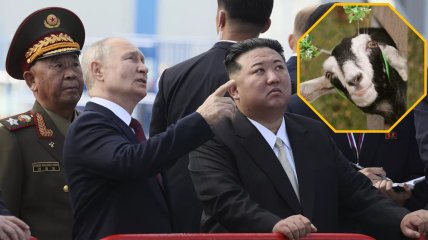 Путинские козлы поехали в Северную Корею