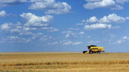 Украина будет поставлять зерно в Китай
