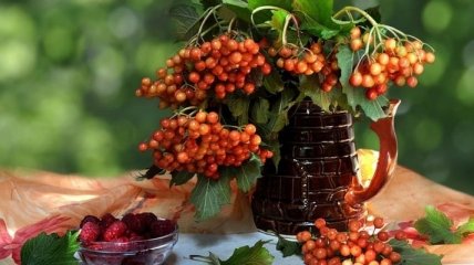 Эти осенние ягоды способны позаботиться о сердце не хуже лекарств
