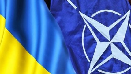 В НАТО заявили о поддержке Украины в оборонных реформах