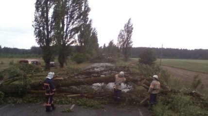 На Закарпатье из-за мощной непогоды 30 населенных пунктов остались без света