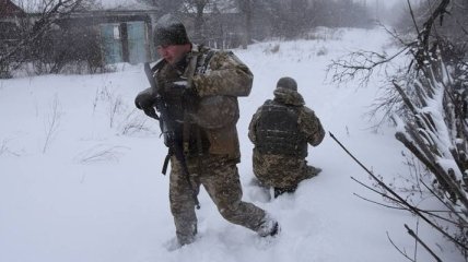 ОБСЕ подтвердили взятие Новоалександровки под контроль ВСУ