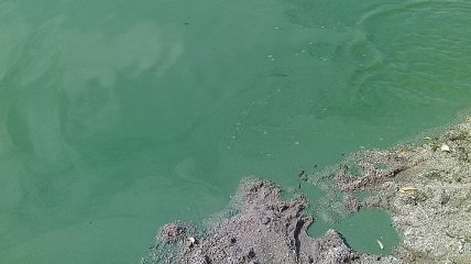 В реке Ингулец избыточное загрязнение