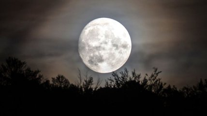 Лунный календарь на декабрь 2019: когда полнолуние
