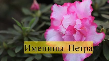 Именины (День Ангела) Петра: значение имени и поздравления