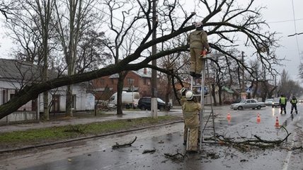 Ураганный ветер оставил Николаев без электричества