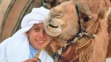 Верблюжье молоко – эликсир отцовства