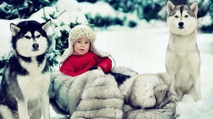 Волшебная зима: фотографии детей и животных в лесу (Фото) 