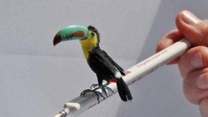 Пернатые миниатюры птиц от художницы из Копенгагена (Фото)