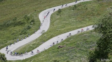 Тур де Франс будут снимать овцы