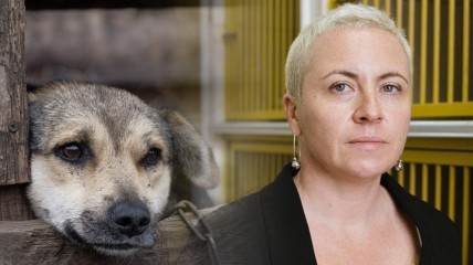 Зоозахисники стверджують, що Наталія Мазур винна у загибелі 222 собак у Бородянському притулку