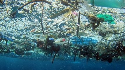 Большое тихоокеанское мусорное пятно в три раза превысило размеры Франции 