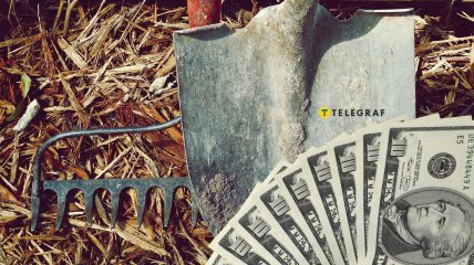 Что посадить на участке, чтобы было больше денег и удачи