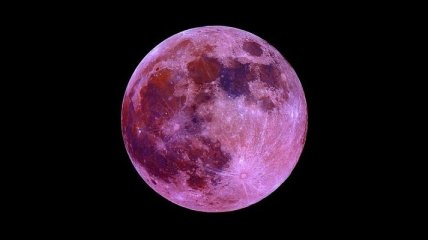 Астрономы: на Пасху будет видна розовая Луна