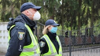 Вырубка и вывоз радиоактивного леса из зоны ЧАЭС: В полиции опровергли информацию