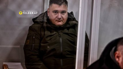 Суд вынес наказание Дмитрию Козюре