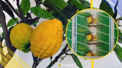 Иллюстративное фото