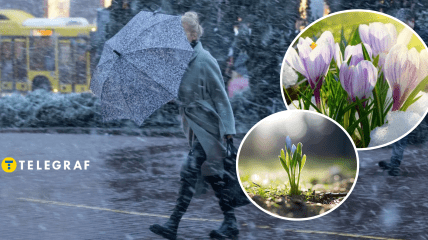 Непогода и цветы