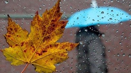 Прогноз погоды в Украине на 19 ноября: ожидается облачная погода, местами дождь