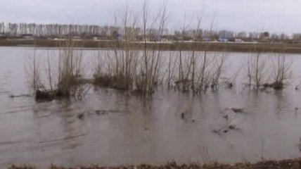 МЧС РФ: Паводковая ситуация на Алтае ухудшилась