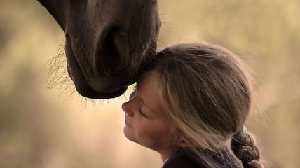 «Доктор Лошадь»