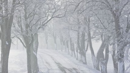 Погода в Украине на 20 декабря: потеплеет до +5…+7, туман 