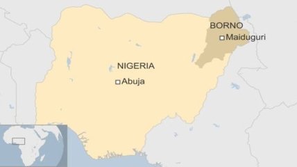В Нигерии террористка-смертница взорвалась на рынке, погибли 27 человек