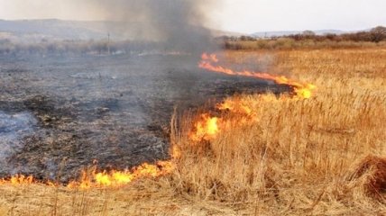 Украинцев предупреждают о высокой пожарной опасности