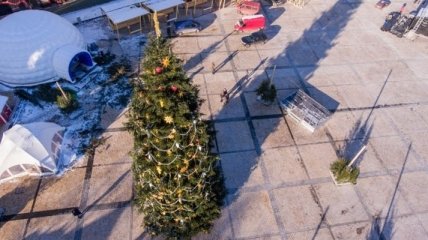 Главная елка страны приедет в Киев только 4 декабря