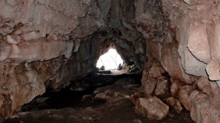 Ученые обнаружили пещерную жизнь возрастом около 50 тысяч лет