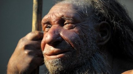 Ученые выяснили, что неандертальцы могли выполнять точные операции