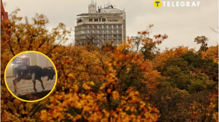 Осенний Киев