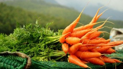 Медики рассказали, что морковь способна защитить от рака