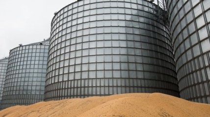 Минагропрод: экспорт зерновых к 11 декабря составил 18,7 млн тонн