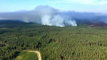 ЕС отказывает Литве в помощи тушения лесных пожаров