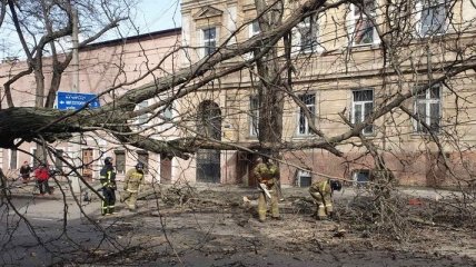 Стихийные последствия: В Одессе более 140 населенных пунктов обесточено