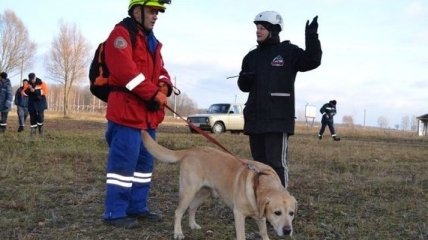 В Павлограде состоялись национальные соревнования собак-спасателей 