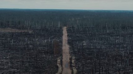 "Апокалипсис": последствия пожаров под Чернобылем сняли с дрона (Видео)