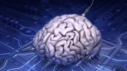 Эксперты создали интерфейс для подключения мозга человека к интернету