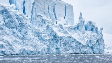 Ученые сделали удивительную находку во льдах Антарктиды
