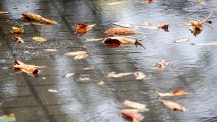Дожди и грозы: киевлян предупреждают об ухудшении погоды