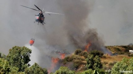 В США вспыхнули масштабные лесные пожары (Видео)