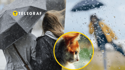 Всю территорию страны накроют осадки