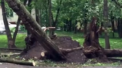 На Москву надвигается новый сильный ураган
